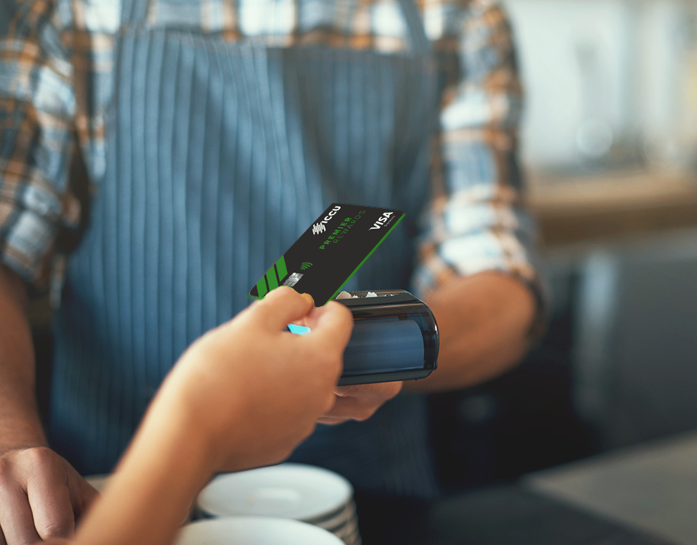 utilizar su Visa para pagar  