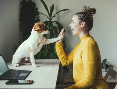 Women giving a dog a high five
